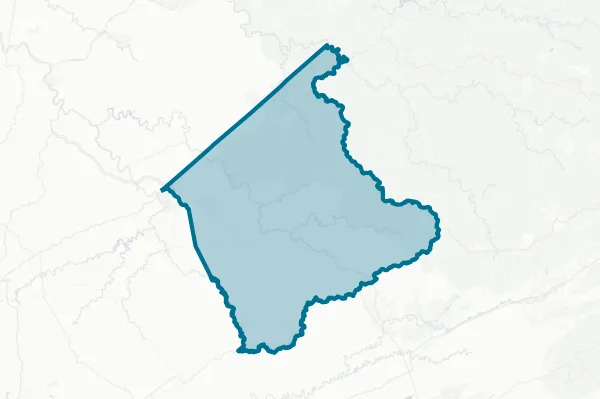 County of Buchanan — detail map
