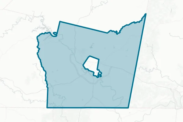 County of Henry — detail map