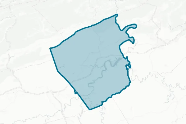 County of Pulaski — detail map