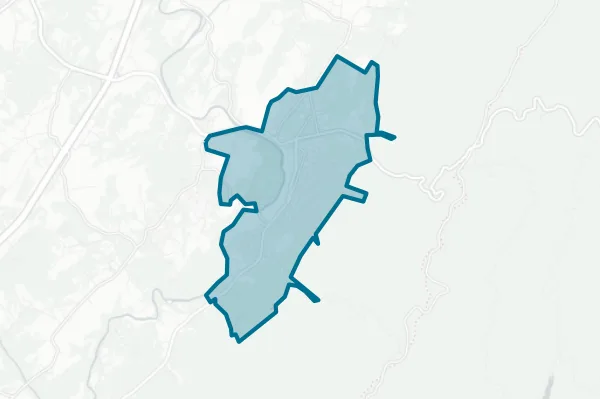 City of Buena Vista — detail map