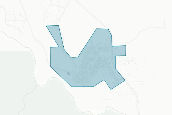 Town of Carbonado — detail map