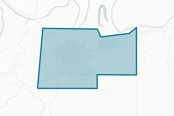 Village of South Wayne — detail map