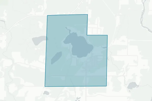 Village of White Lake — detail map