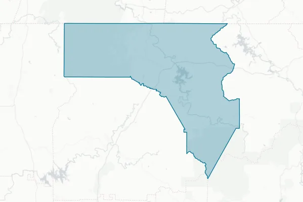 Fannin County — detail map