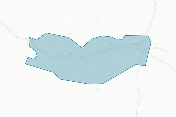 City of Erin Tennessee — detail map