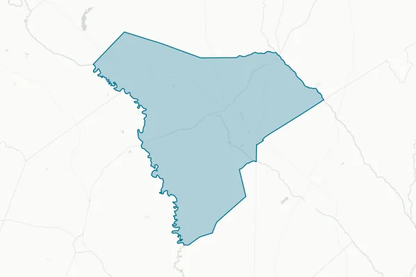 Allendale County — detail map