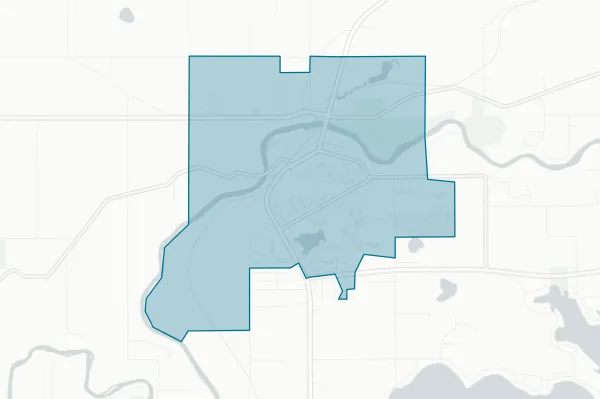 City of Newaygo — detail map