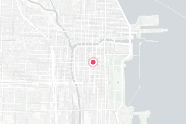 Chicago Public Schools / Chicago Board of Education — detail map