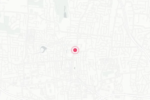 Village of Spring Valley — detail map