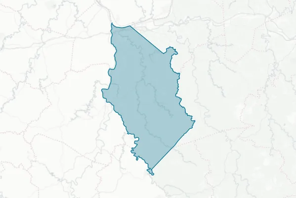 Wayne County Commission — detail map