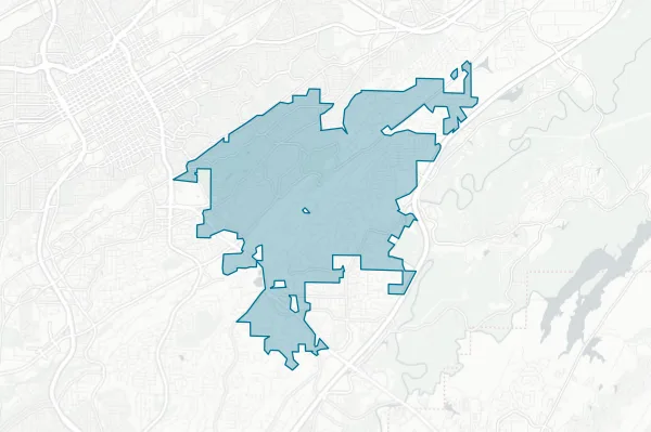City of Mountain Brook — detail map